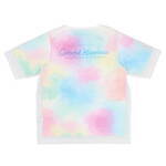 ダッフィー＆フレンズ“虹やシャボン玉”彩る限定グッズ・メニュー、レインボーカラーのぬいぐるみなど｜写真7