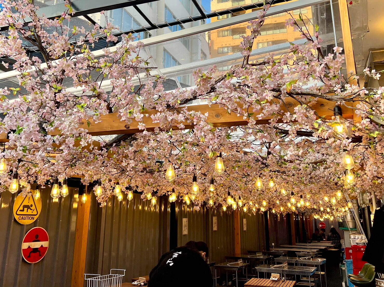 代々木「ほぼ新宿のれん街」倉庫型横丁の桜まつり、花見気分で楽しむ料理や夜間ライトアップ｜写真3