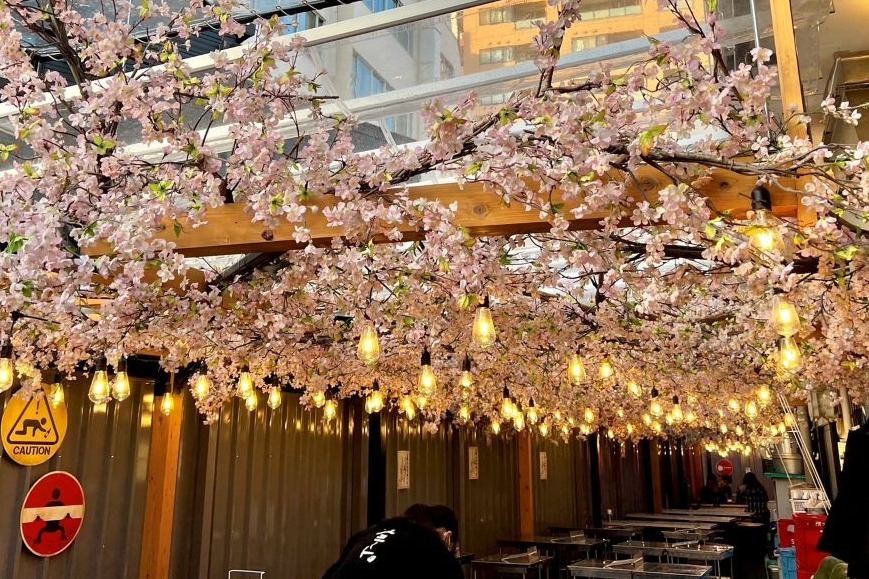 レトロ｜代々木「ほぼ新宿のれん街」倉庫型横丁の桜まつり、花見気分で楽しむ料理や夜間ライトアップ
