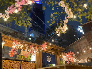 代々木「ほぼ新宿のれん街」倉庫型横丁の桜まつり、花見気分で楽しむ料理や夜間ライトアップ｜写真5