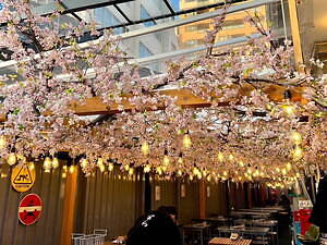 代々木「ほぼ新宿のれん街」倉庫型横丁の桜まつり、花見気分で楽しむ料理や夜間ライトアップ｜写真3