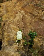 アークテリクス“春色ラベンダー”のウィメンズジャケットやウエストパック、ビームス ボーイ限定で｜写真5