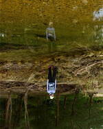 アークテリクス“春色ラベンダー”のウィメンズジャケットやウエストパック、ビームス ボーイ限定で｜写真7