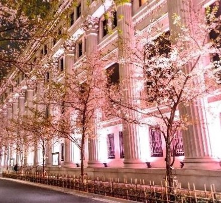 日本橋の桜イベント「サクラ フェス」屋外で味わうパフェや老舗飲食店の屋台、夜の桜色ライトアップも｜写真13