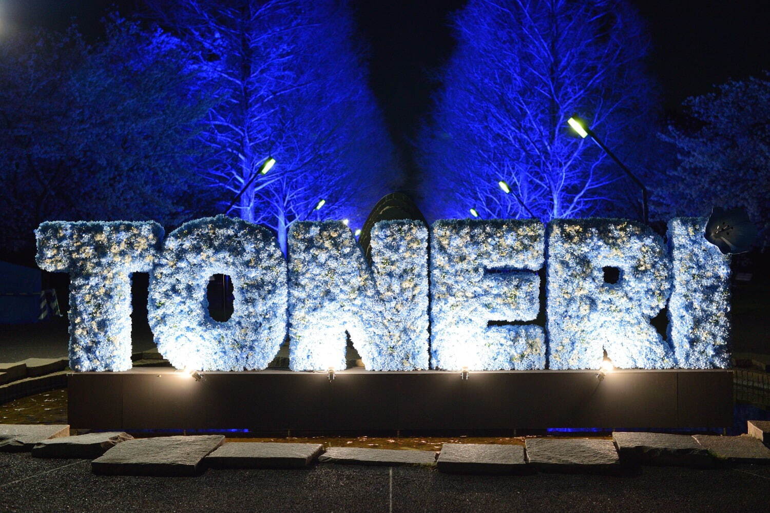 ネモフィラの花々を青い光でライトアップ、東京都立舎人公園で幻想的な春のイルミネーション｜写真7