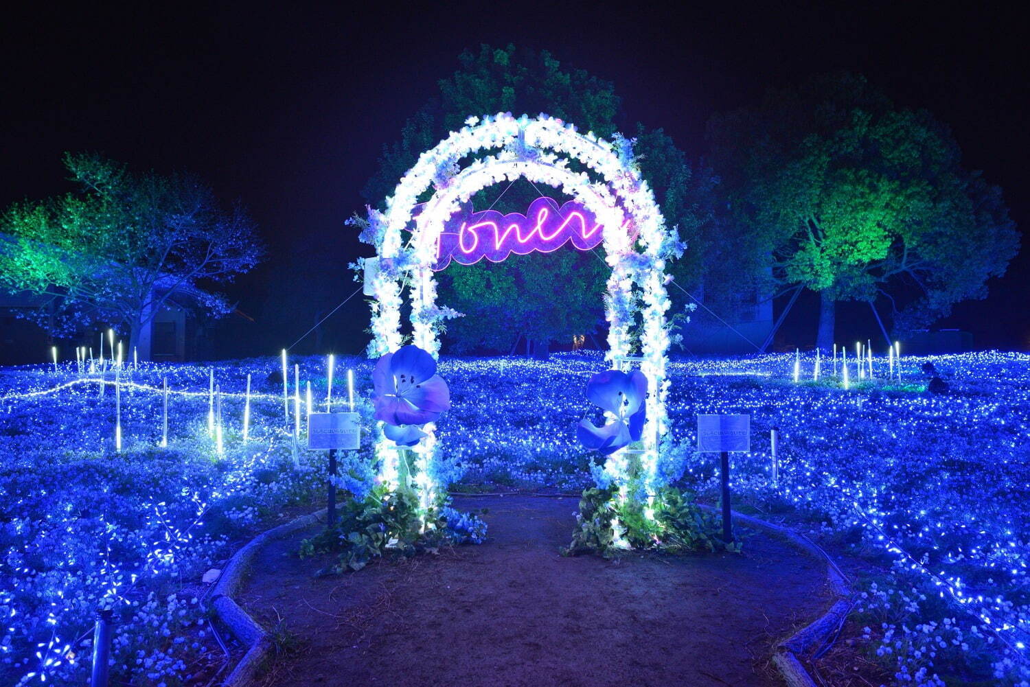 ネモフィラの花々を青い光でライトアップ、東京都立舎人公園で幻想的な春のイルミネーション｜写真2