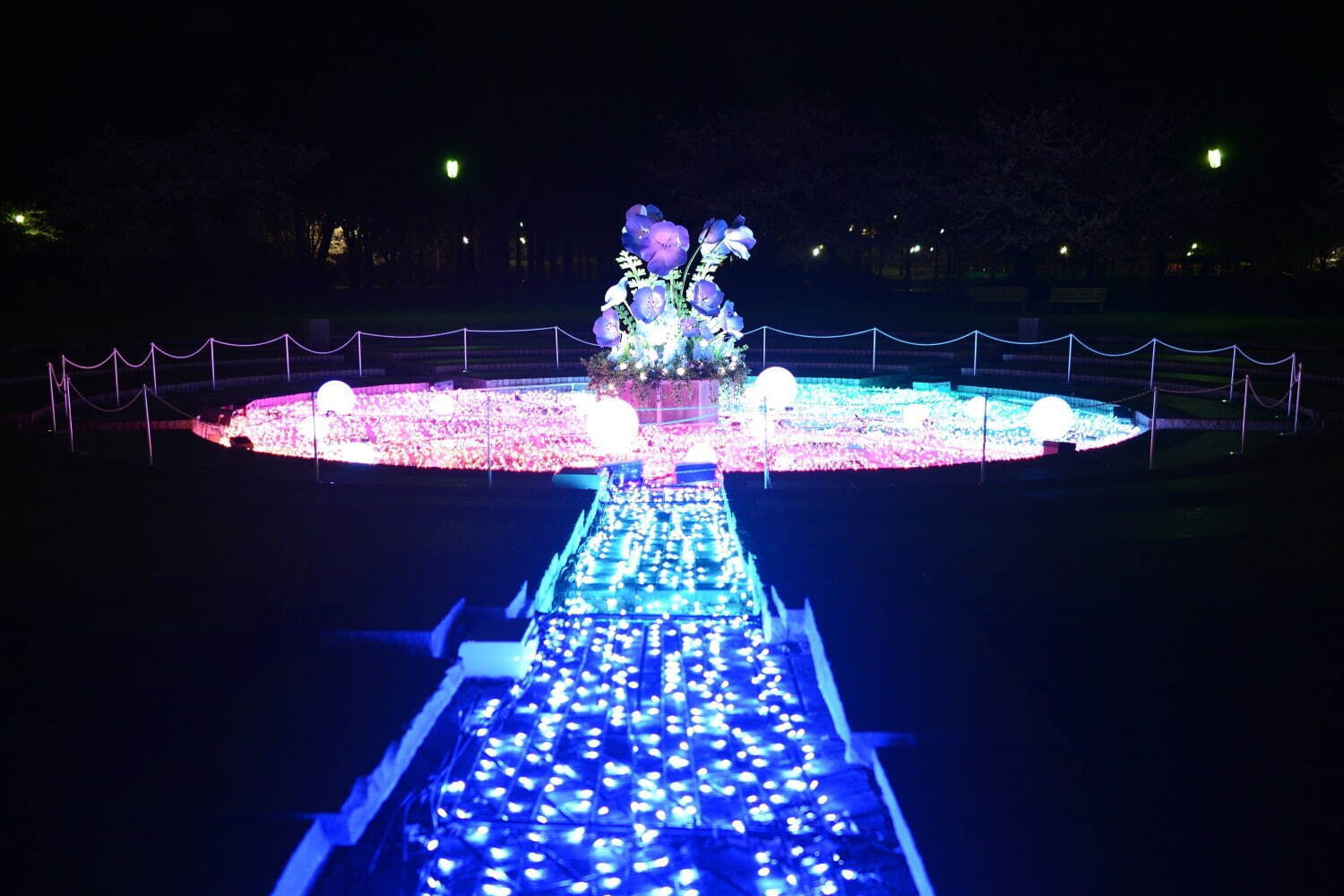 ネモフィラの花々を青い光でライトアップ、東京都立舎人公園で幻想的な春のイルミネーション｜写真12