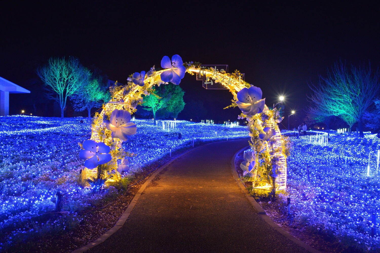 ネモフィラの花々を青い光でライトアップ、東京都立舎人公園で幻想的な春のイルミネーション｜写真1