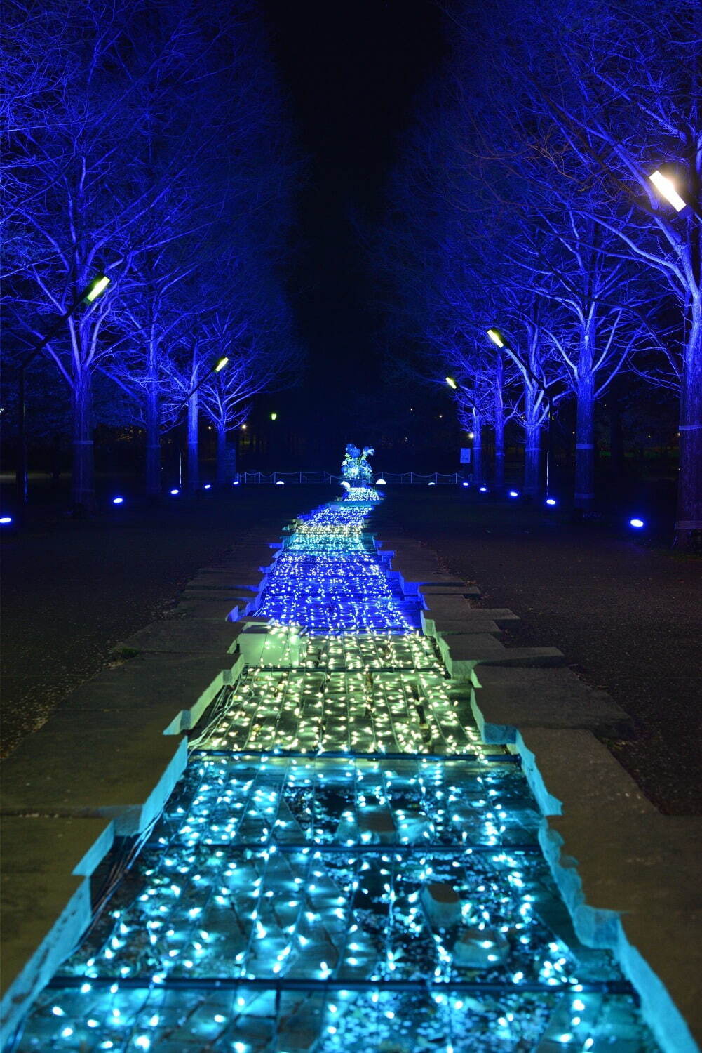 ネモフィラの花々を青い光でライトアップ、東京都立舎人公園で幻想的な春のイルミネーション｜写真9