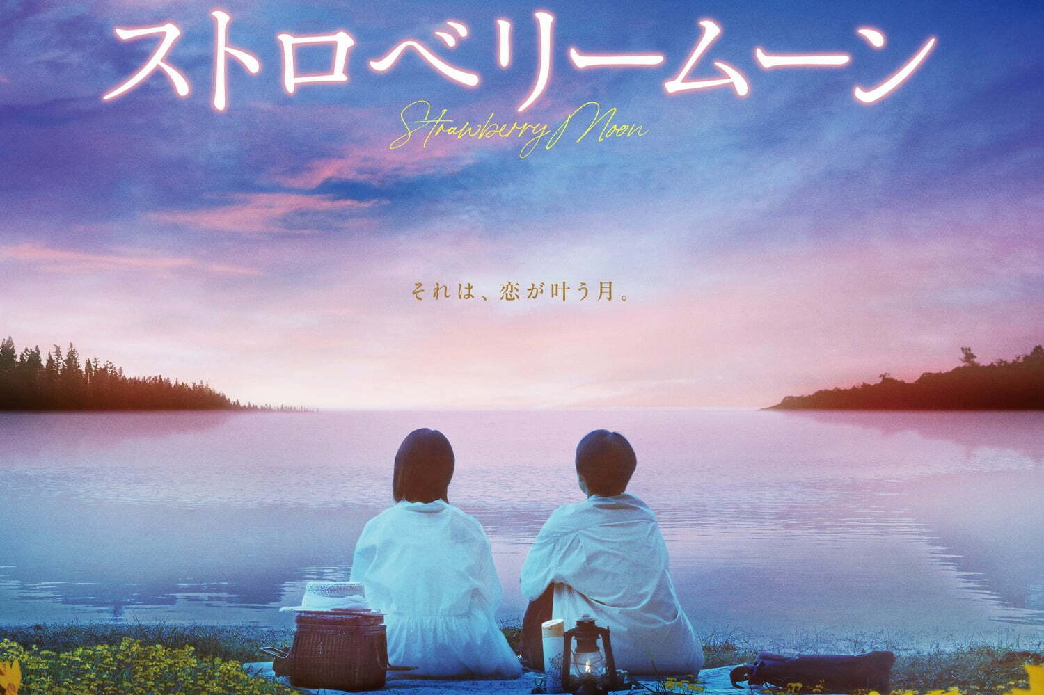Amazon.co.jp: まだ恋は始まらない 岡田恵和 : おもちゃ