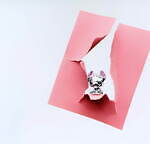 パンドラ(PANDORA) ディズニー 白雪姫｜写真5