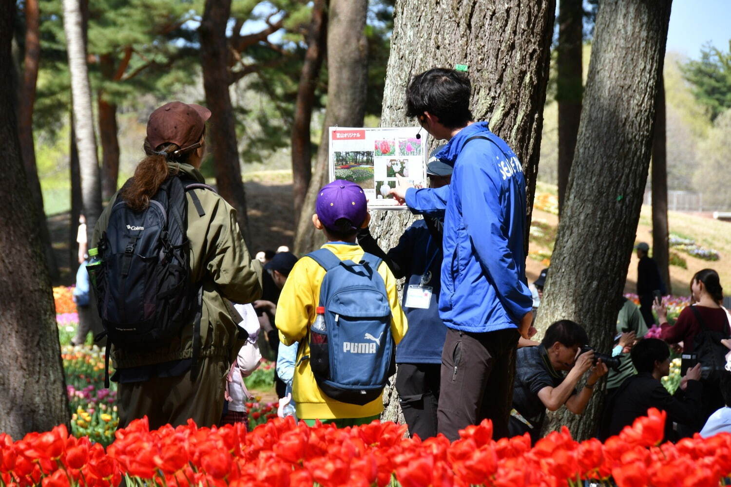 「ネモフィラの丘」一面ブルーに染まる国営ひたち海浜公園 - 春のお出かけスポット｜写真10