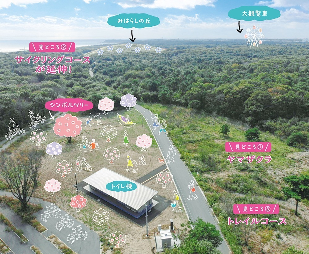 「ネモフィラの丘」一面ブルーに染まる国営ひたち海浜公園 - 春のお出かけスポット｜写真21