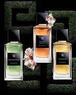 GIVENCHY ジバンシイ ド ジバンシイ インテンス フドロワイヤン 香水 PDM_P031239_SEMBLANT_800x800_D