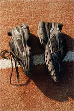 ラコステ“ゆったりサイズ”のウィメンズポロシャツ、アダム エ ロペ限定ボーダーカラーで｜写真15