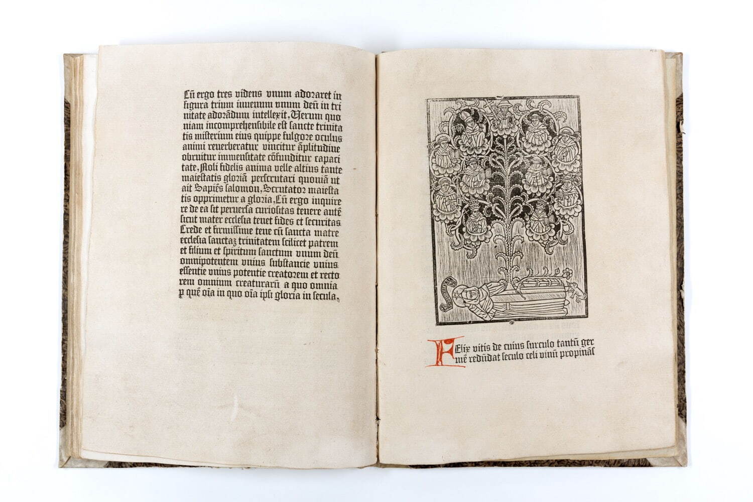 フアン・デ・トルケマダ 『瞑想録』 1479年
グーテンベルク博物館蔵 Gutenberg Museum, Mainz