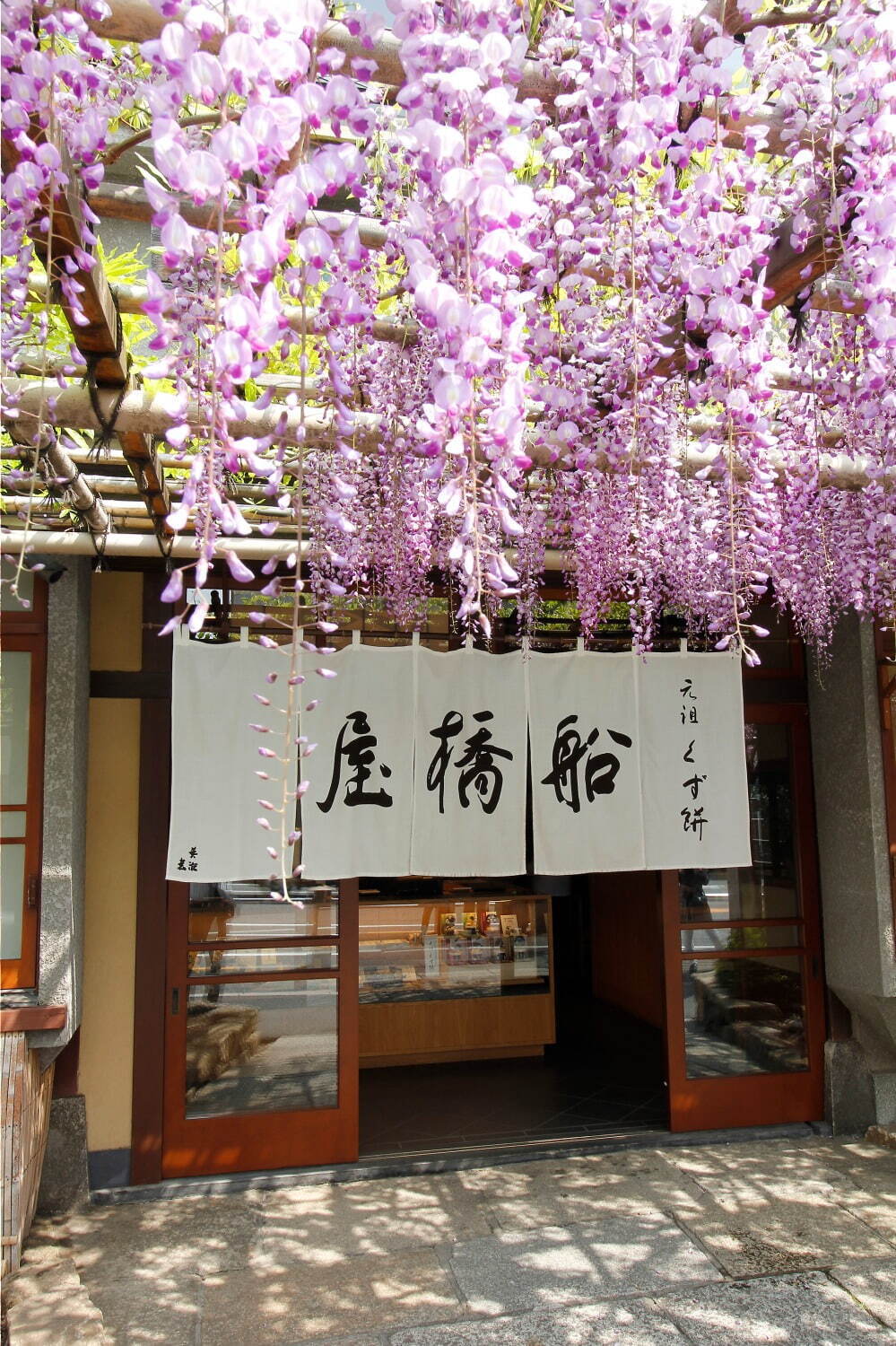船橋屋(Funabashiya) 藤まつり｜写真6