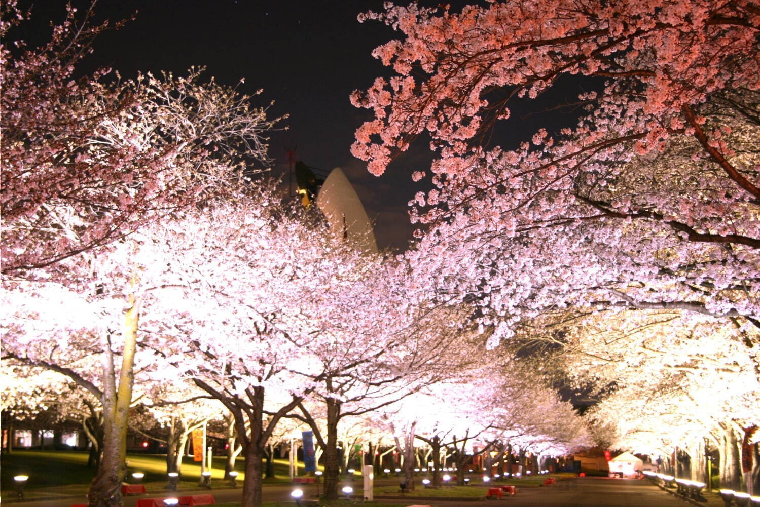 写真提供：万博記念公園マネジメント・パートナーズ