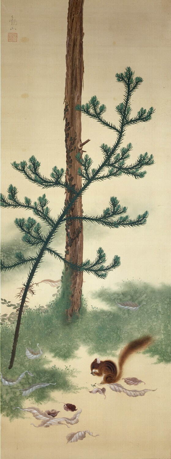 下村観山《杉に栗鼠》1907-1912年頃
※後期展示
