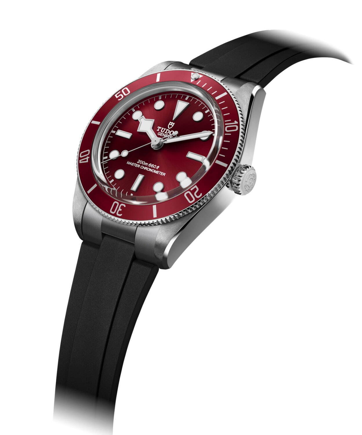 「ブラックベイ 58」ラバーストラップ 602,800円