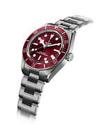 チューダー(TUDOR) ブラックベイ 58｜写真4