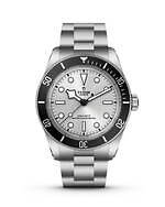 チューダー(TUDOR) ブラックベイ 68｜写真1