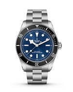 チューダー(TUDOR) ブラックベイ 68｜写真3