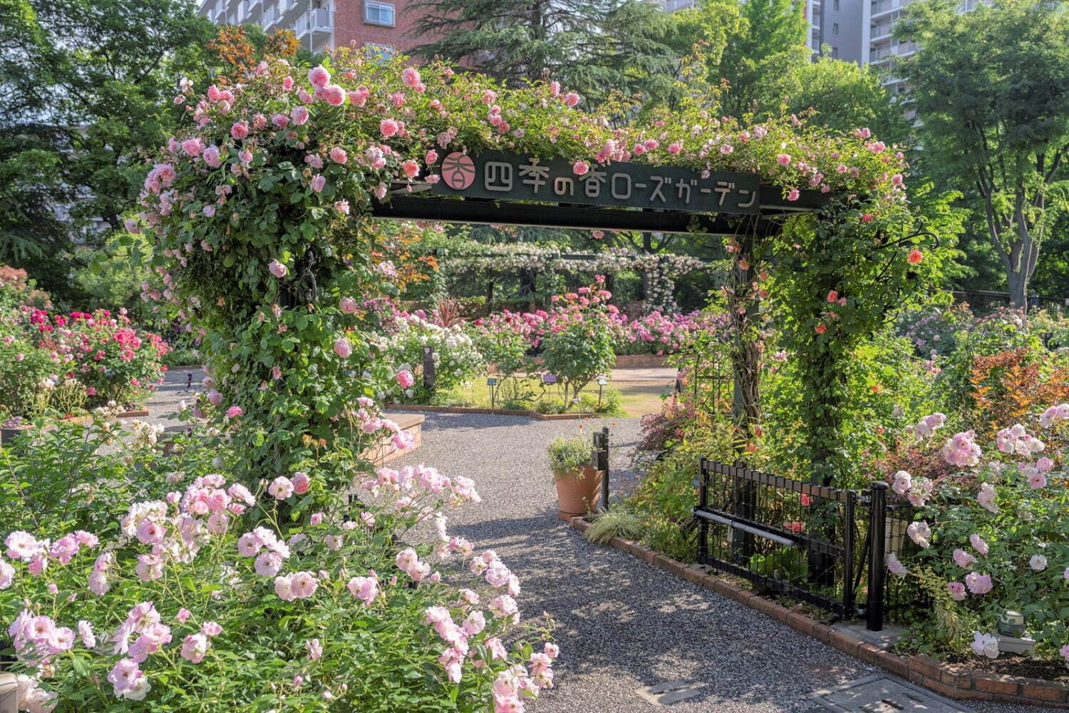 安田早葉子 そめ花 薔薇と四季の花たち 本/BOOK/書籍/作品集