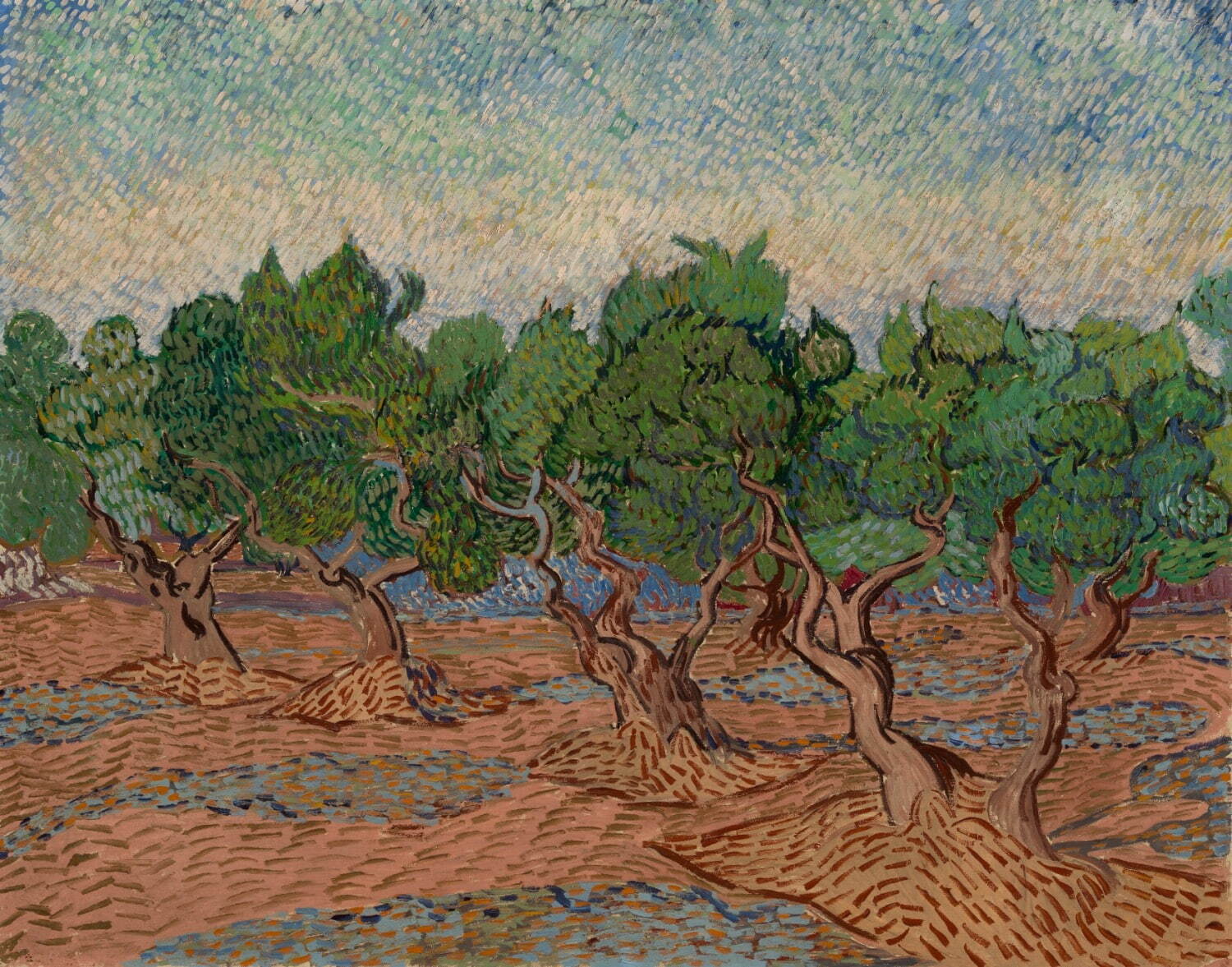 フィンセント・ファン・ゴッホ 《オリーブ園》 1889年11月 ファン・ゴッホ美術館、アムステルダム(フィンセント・ファン・ゴッホ財団) Van Gogh Museum, Amsterdam (Vincent van Gogh Foundation)