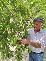 「ビーン トゥ フィナンシェ」新宿＆大阪に、濃厚アーモンド香る焼き立てフィナンシェ専門店｜写真7