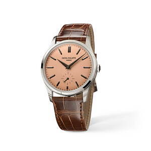 PATEK PHILIPPE 時計用ケース ブラウン PATEK PHILIPPE 時計ケース ダークブラウン - メルカリ