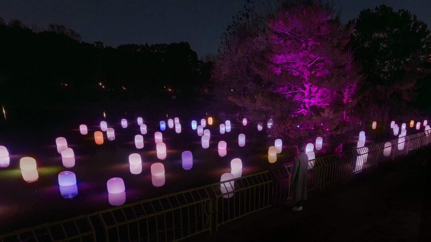 「チームラボ ボタニカルガーデン 大阪」夜の植物園で輝く一面のネモフィラ、広がる青い光＆音色｜写真8