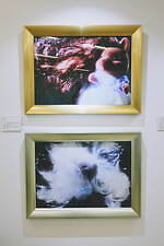 「シルバニアファミリー展40th」歴代ハウスや大型ジオラマが東京・池袋に、コラボフード＆スイーツも｜写真47