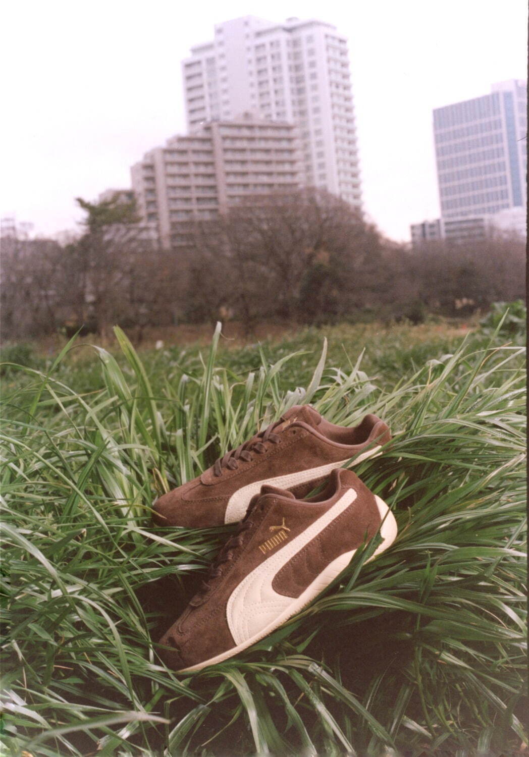 プーマ(PUMA), ビューティー＆ユース ユナイテッドアローズ(BEAUTY&YOUTH UNITED ARROWS) スピードキャット OG｜写真7