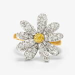 ビズー(BIZOUX) ビズー｜写真5