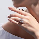 ビズー(BIZOUX) ビズー｜写真9