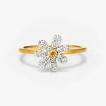 ビズー(BIZOUX) ビズー｜写真4