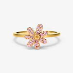 ビズー(BIZOUX) ビズー｜写真2