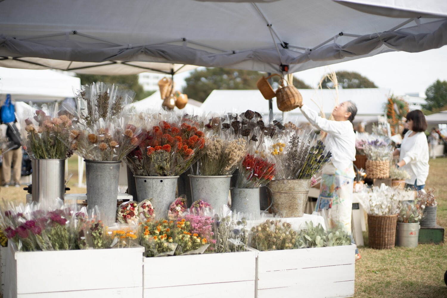 「東京蚤の市'25 SPRING」立川・国営昭和記念公園にアンティーク＆ヴィンテージ店など250組｜写真4
