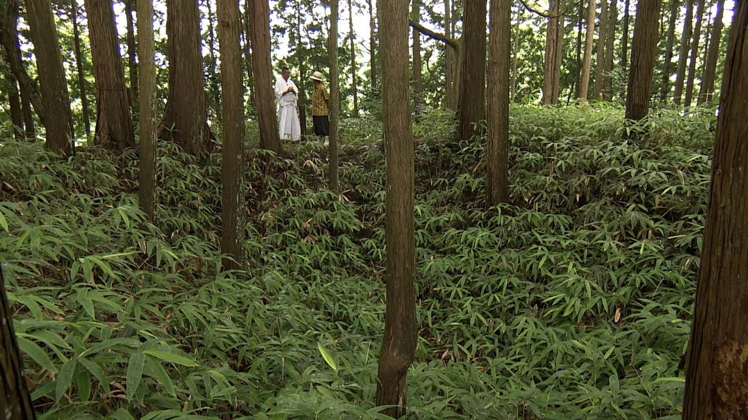 展覧会「デザイン ミュージアム ジャパン」国立新美術館で、日常の“デザイン”を宮前義之らが調査＆展示｜写真5