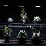 エフシーレアルブリストル(F.C.Real Bristol), ラミダス(RAMIDUS) ラフラム｜写真26