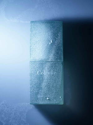 セルヴォーク25年夏、“甘く香る成熟イチジク”のひんやりボディミスト＆爽快スカルプローション｜写真2