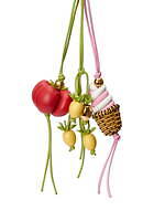 ロエベ(LOEWE) パウラズイビザ｜写真21