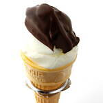 「アイスクリーム博覧会2025」”盆栽アイス”など100種が集結、GWに埼玉・越谷で｜写真11