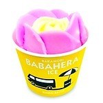 「アイスクリーム博覧会2025」”盆栽アイス”など100種が集結、GWに埼玉・越谷で｜写真13