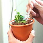 「アイスクリーム博覧会2025」”盆栽アイス”など100種が集結、GWに埼玉・越谷で｜写真25