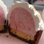 「アイスクリーム博覧会2025」”盆栽アイス”など100種が集結、GWに埼玉・越谷で｜写真27