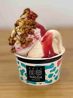 「アイスクリーム博覧会2025」”盆栽アイス”など100種が集結、GWに埼玉・越谷で｜写真5