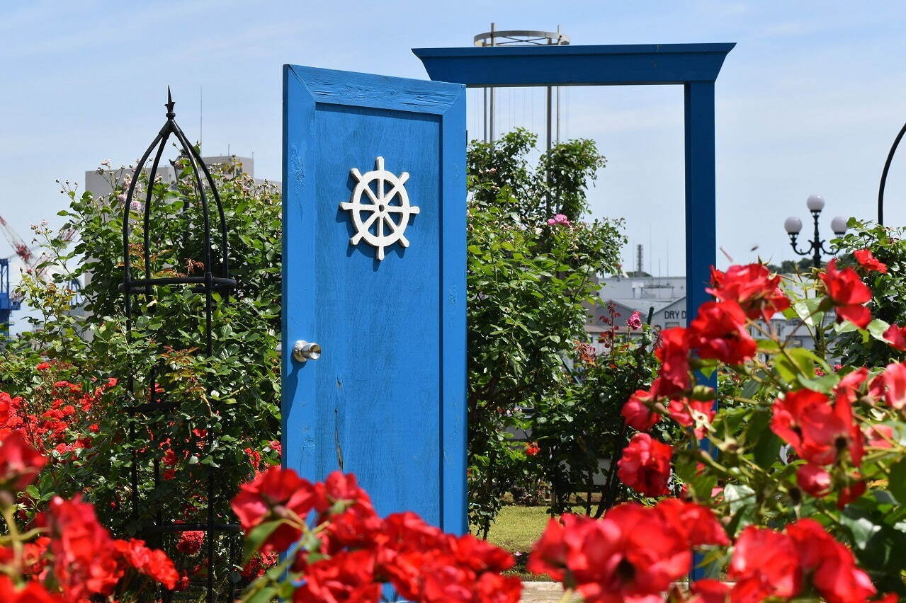 神奈川・横須賀市ヴェルニー公園「春のローズフェスタ」約130種1,300株の春バラが見頃に｜写真7
