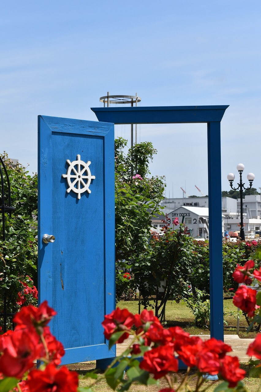 神奈川・横須賀市ヴェルニー公園「春のローズフェスタ」約130種1,300株の春バラが見頃に｜写真13